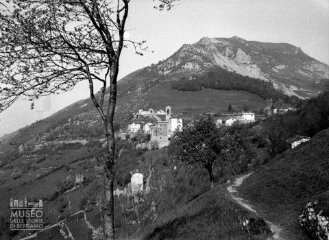 Panorama con albero