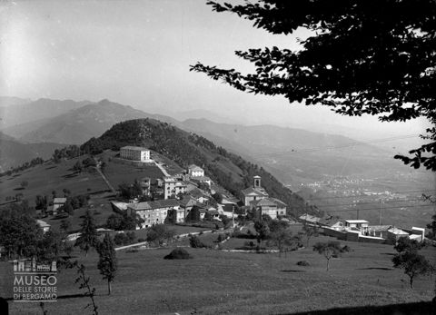 Panorama con alberi