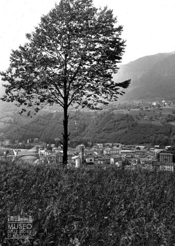 Panorama con albero