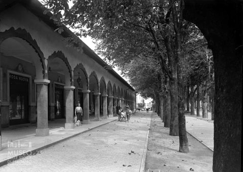 Viale e portici