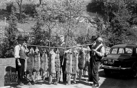 Cacciatore con volpi [1]