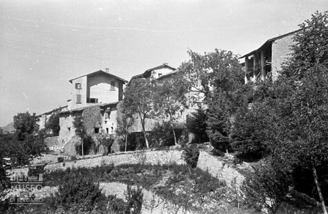 Abitazioni e alberi