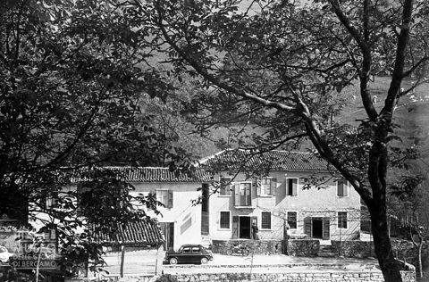 Osteria e alberi