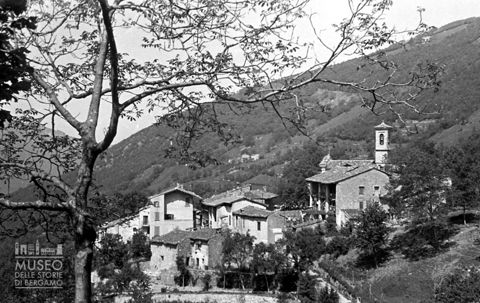 Panorama con albero