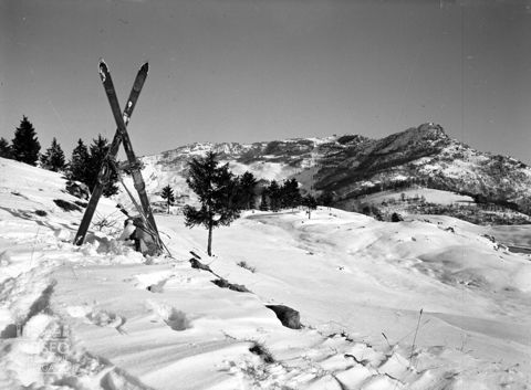 Campo innevato