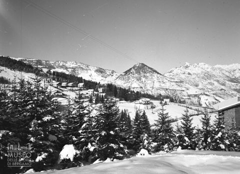 Boschi e case in inverno
