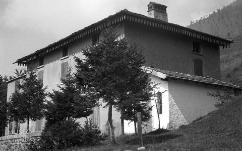 Abitazione con alberi [2]