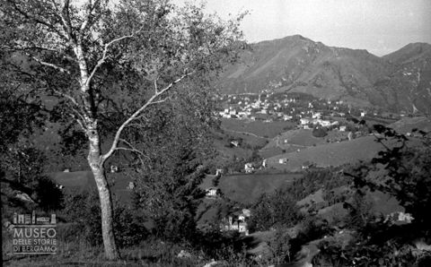 Panorama tra gli alberi