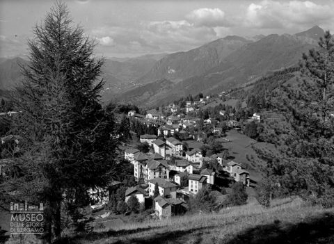 Panorama con alberi