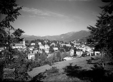 Panorama con alberi