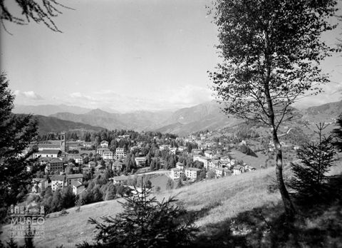 Panorama con alberi