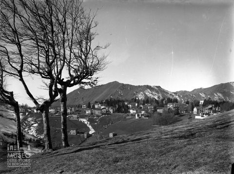 Panorama con alberi