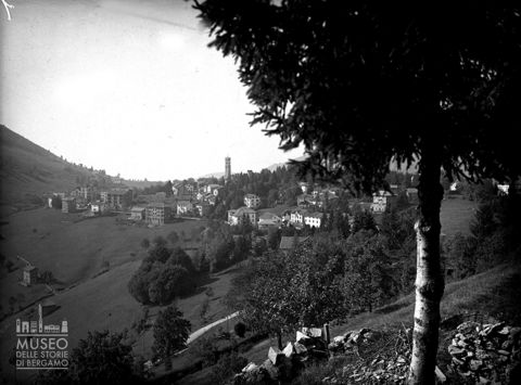 Panorama con alberi