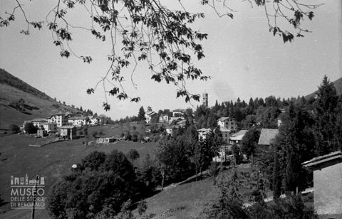Panorama con alberi