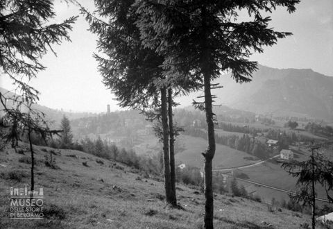 Panorama con alberi