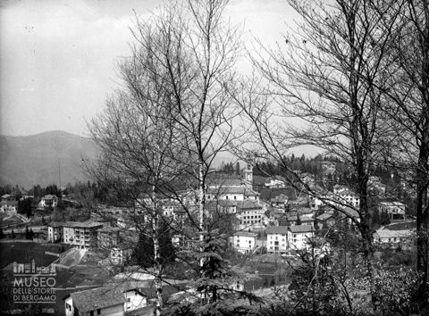 Panorama tra gli alberi