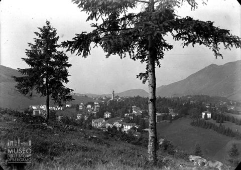 panorama da una radura