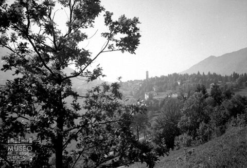 Panorama con boschi