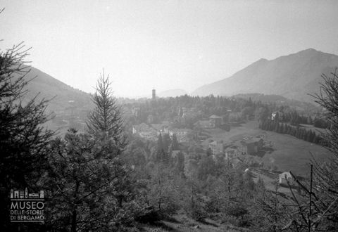 Panorama da pineta
