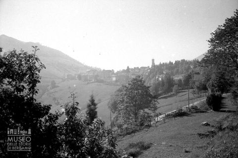 Veduta con alberi