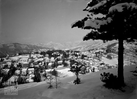 Panorama invernale con alberi