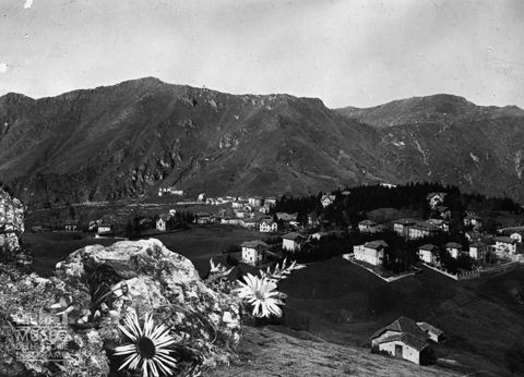 Panorama elaborato