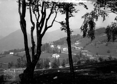 Veduta tra gli alberi