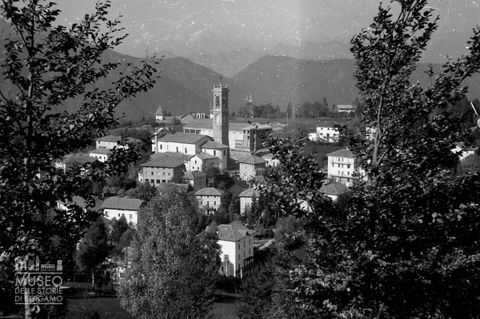 Scorcio tra gli alberi