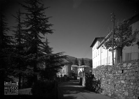 Scorcio con alberi