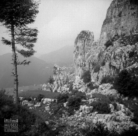 Parete rocciosa e albero