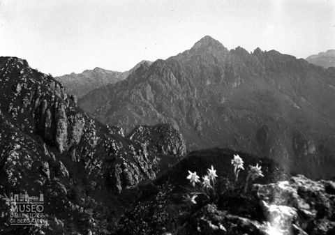 Vetta del Monte Alben