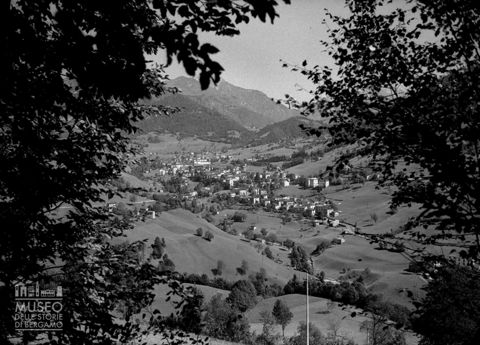 Panorama con alberi