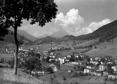 Panorama con albero