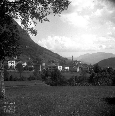 Panorama con albero