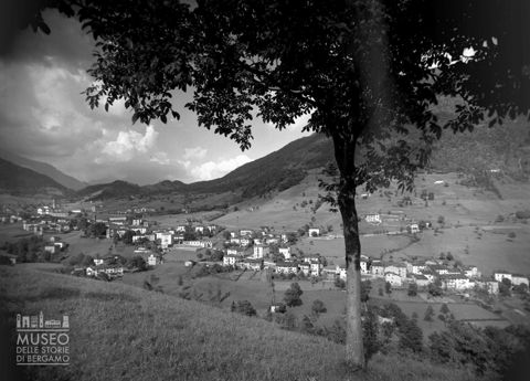 Veduta con albero