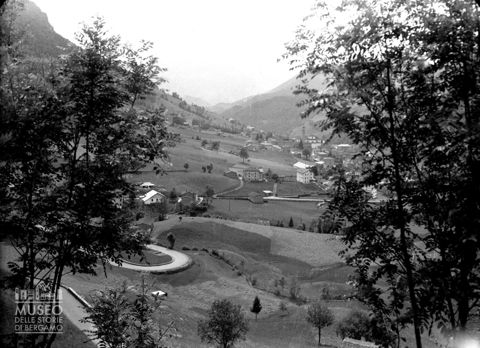 Veduta tra gli alberi