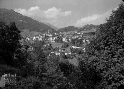 Veduta tra gli alberi