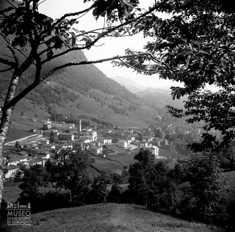 Panorama con alberi
