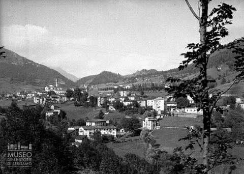 Panorama con albero