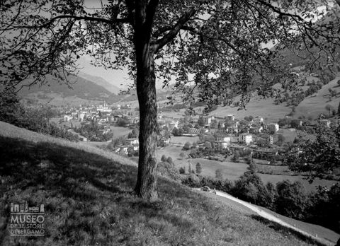 Panorama con albero e strada