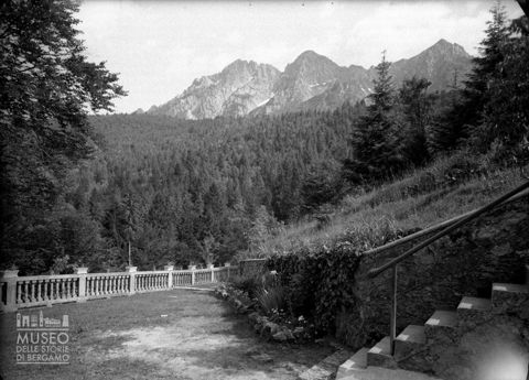 Giardino presso una pineta
