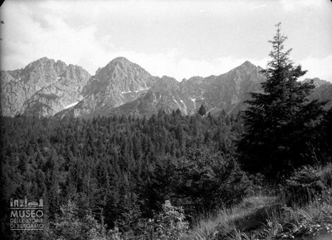 Pineta e monti