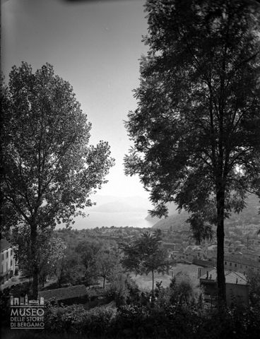 Veduta tra gli alberi