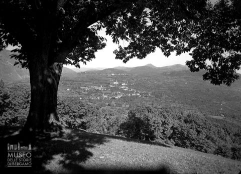 Panorama con albero