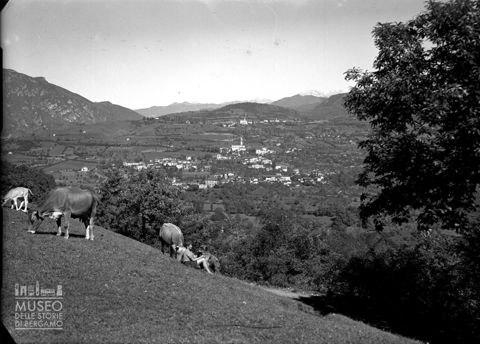 Pascolo e panorama