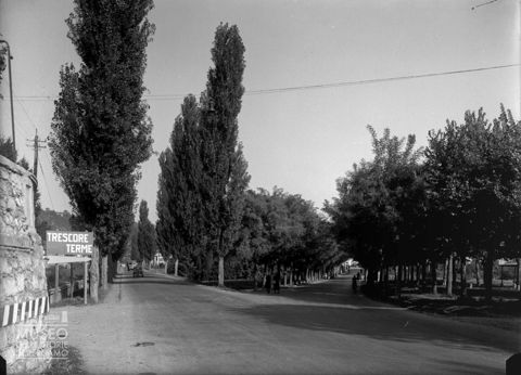 Strada alberata con bivio
