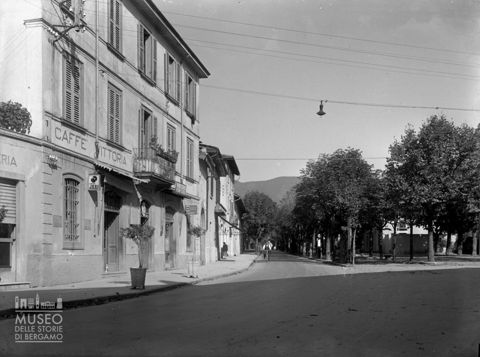 Viale alberato e palazzi