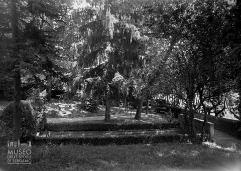 Tavolini fra gli alberi