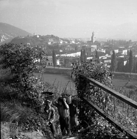 Panorama con vignaioli
