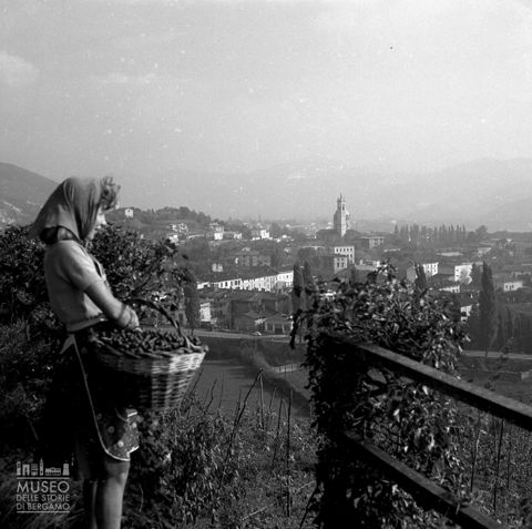 Ragazza presso un vigneto